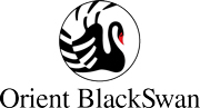 IDEAS INSTITUTIONS PROCESSES Orient Blackswan Private Limited Registered - photo 3