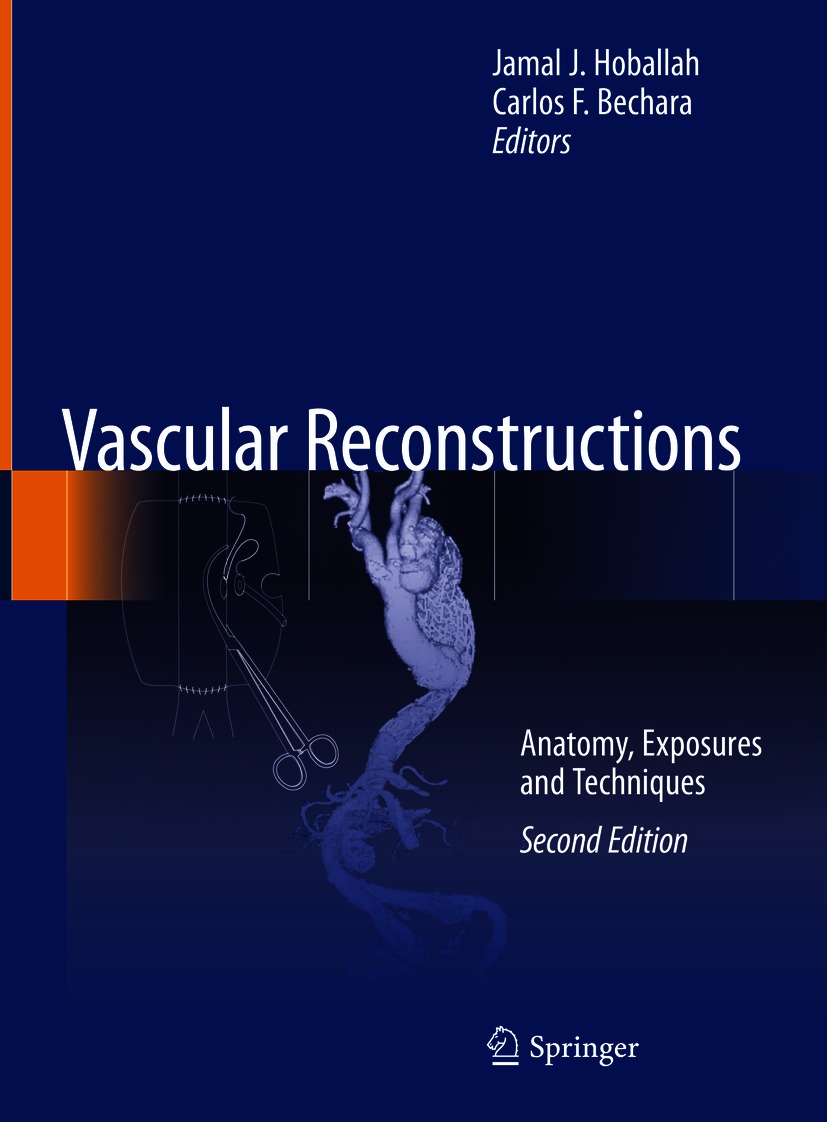 Book cover of Vascular Reconstructions Editors Jamal J Hoballah and - photo 1