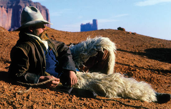 Lesson 1 Boot Camp Cattle drives - photo 7