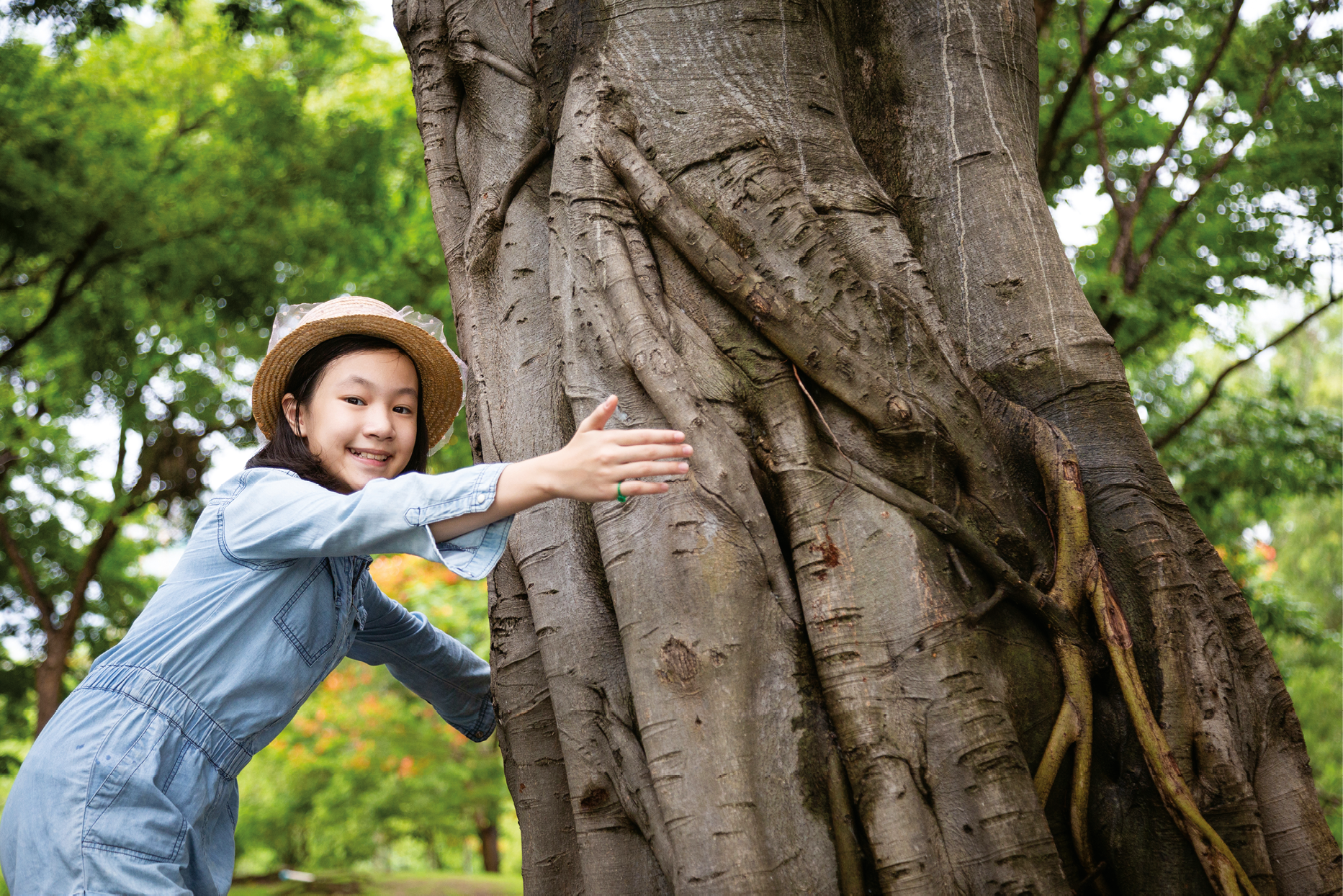 Many people including me feel a deep fondness for trees There is something - photo 3