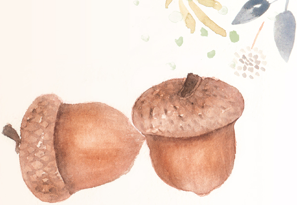 Acorns have a lot of texture to them Using shadows highlights and lines to - photo 11