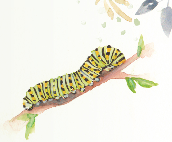 Caterpillars come in a variety of colors so feel free to use whatever hues - photo 18