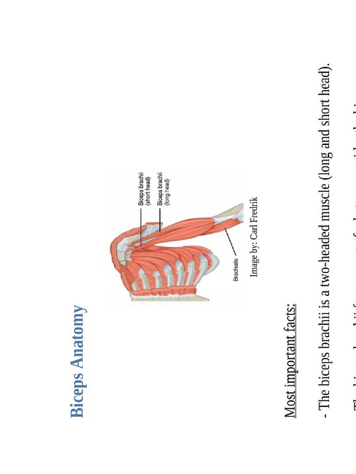 The Book Of Big Arms 39 Exercises To Firm Tone And Tighten Your Upper Body Bodybuilding Encyclopedia - photo 35