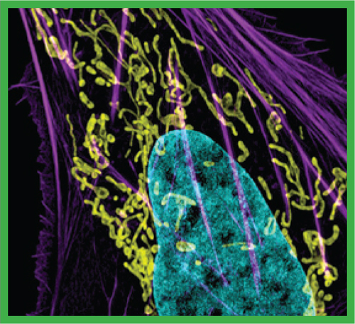 1996 A yeast genome is sequenced 1998 The roundworm C elegans is - photo 10