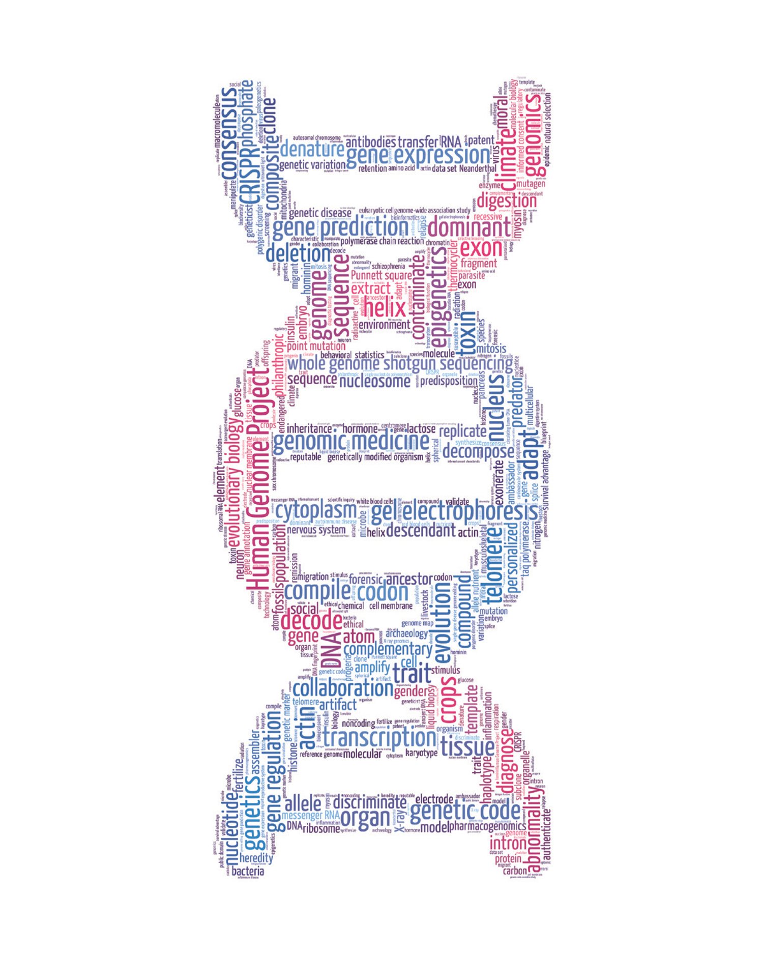 The Human Genome Mapping the Blueprint of Human Life - image 14