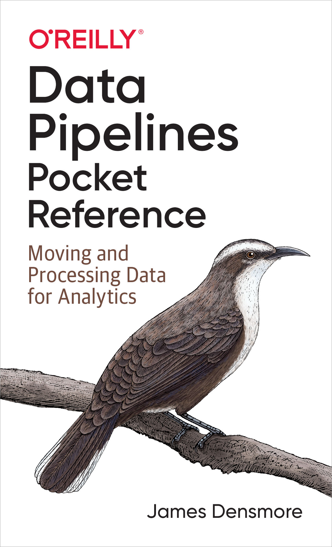 Data Pipelines Pocket Reference by James Densmore Copyright 2021 James - photo 1