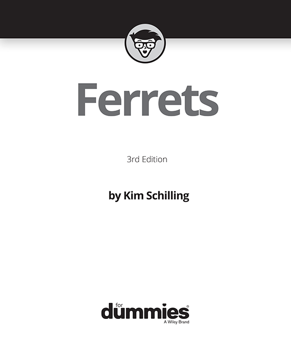 Ferrets For Dummies 3rd Edition Published by John Wiley Sons Inc - photo 2