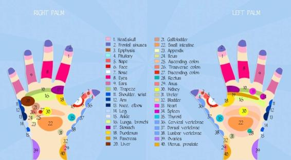 Basic Reflexology Hand Chart Areas To understand the concept more heres a - photo 2