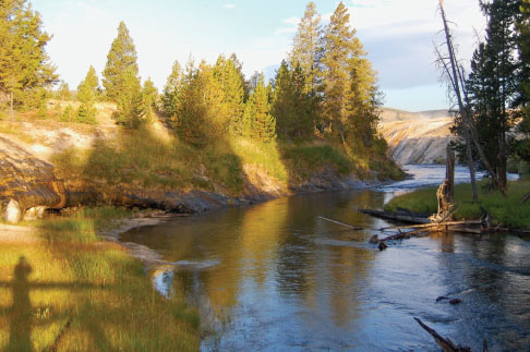 Morning sun on geyser runoff and Firehole River behind Old Faithful Geyser - photo 7