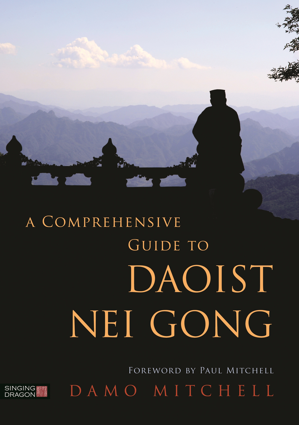 A Comprehensive Guide to DAOIST NEI GONG DAMO MITCHELL - photo 1