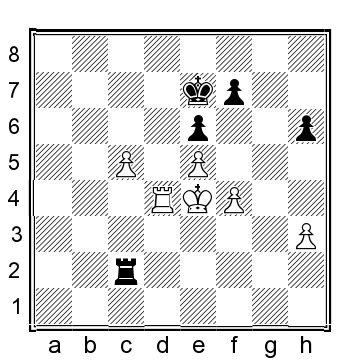 Position after 13 R c2 and a draw was agreed shortly after - 58 Ding - photo 10