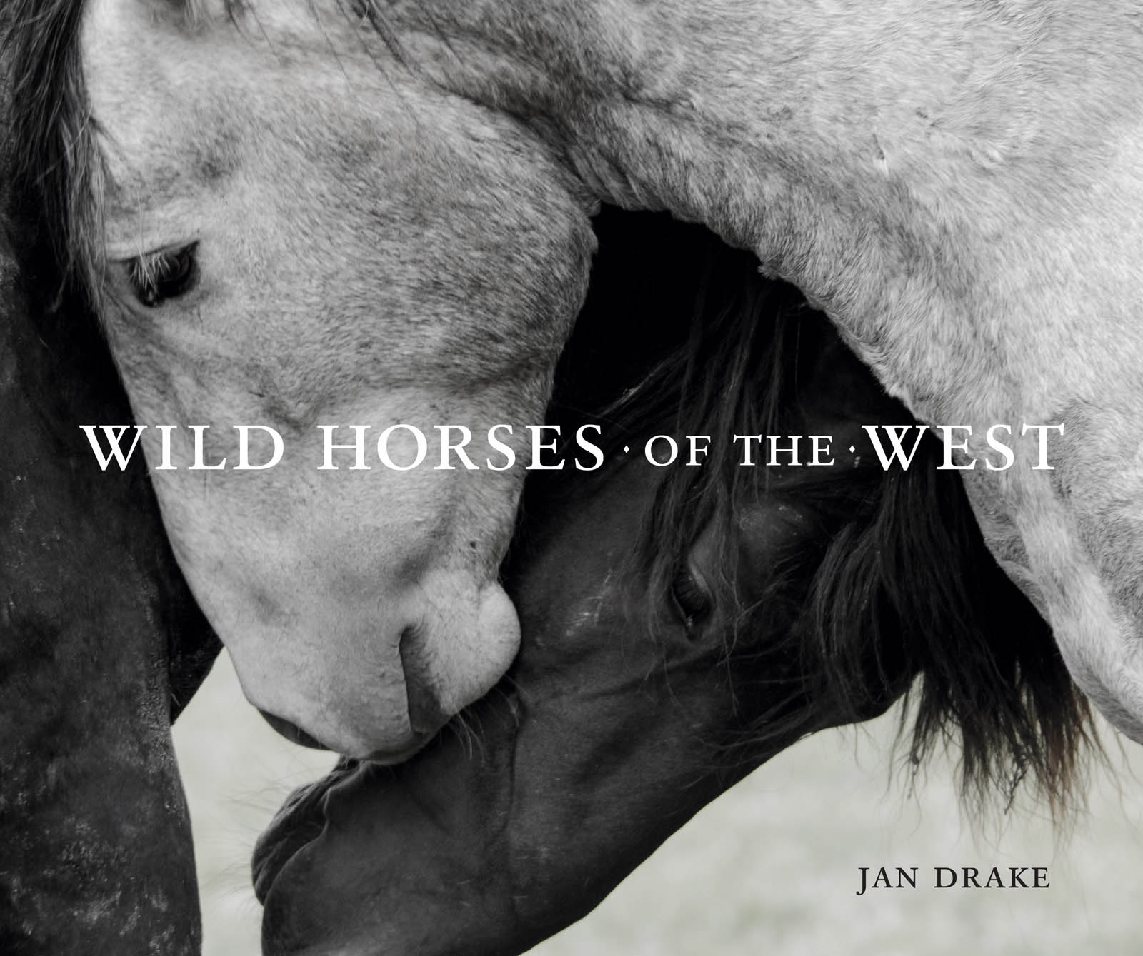 Wild Horses of the West Jan Drake - photo 1