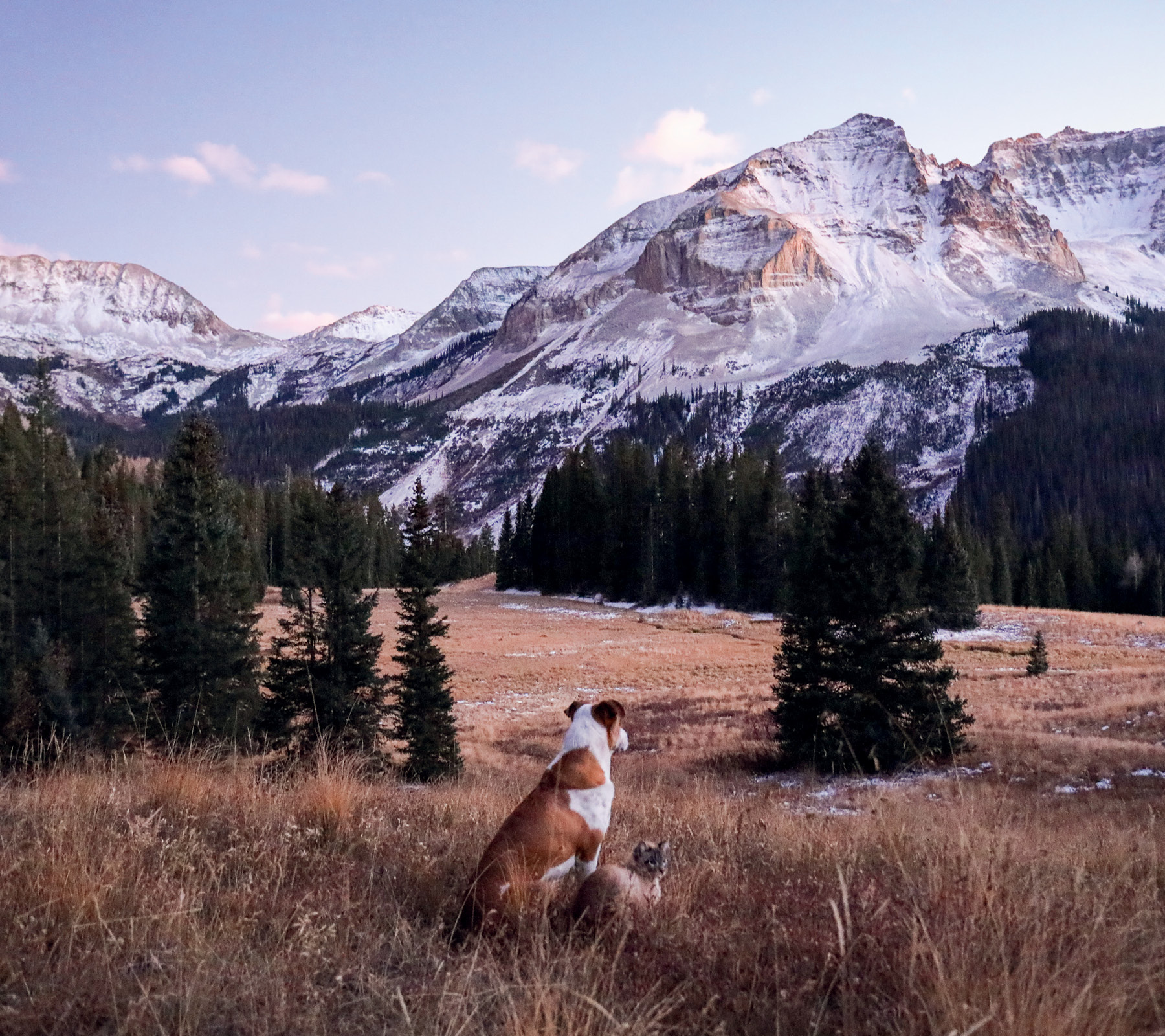 SAN JUAN NATIONAL FOREST COLORADO NEVADA WILDERNESS To boldly go where - photo 16