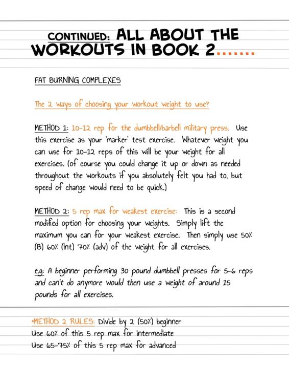 Fitstickz - Healthy Doodles Serious Effective Home Workouts Book 2 Fat Burning Dumbbell or Resistance Workouts At Home - photo 24