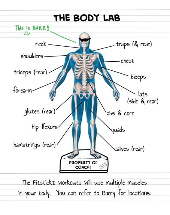 Fitstickz - Healthy Doodles Serious Effective Home Workouts Book 2 Fat Burning Dumbbell or Resistance Workouts At Home - photo 30