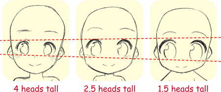 As the head-to-body ratio increases the face becomes more compact with the - photo 20