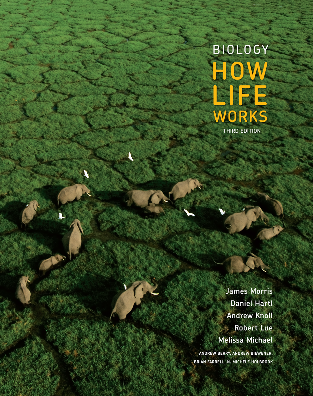 The front cover shows a vast area of grassland in which elephants are walking - photo 1