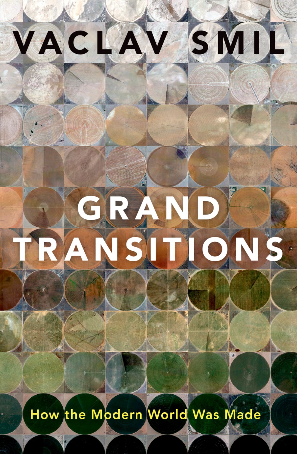 Grand Transitions How the Modern World Was Made - image 1