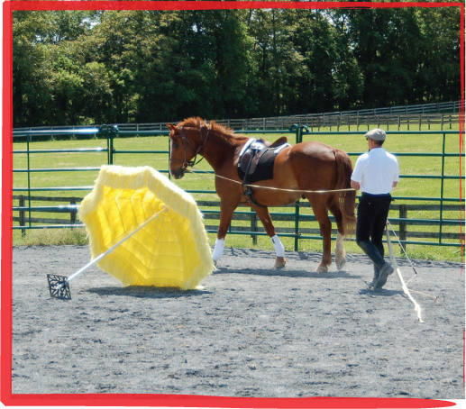 Better Than Bombproof New Ways to Make Your Horse a Solid Citizen and Keep You Safe on the Ground in the Arena and on the Trail - photo 3