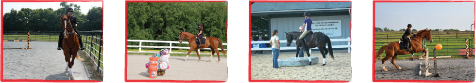 Better Than Bombproof New Ways to Make Your Horse a Solid Citizen and Keep You Safe on the Ground in the Arena and on the Trail - photo 4