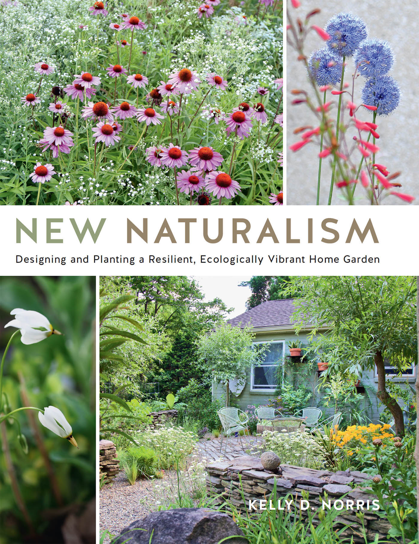 New Naturalism - image 1