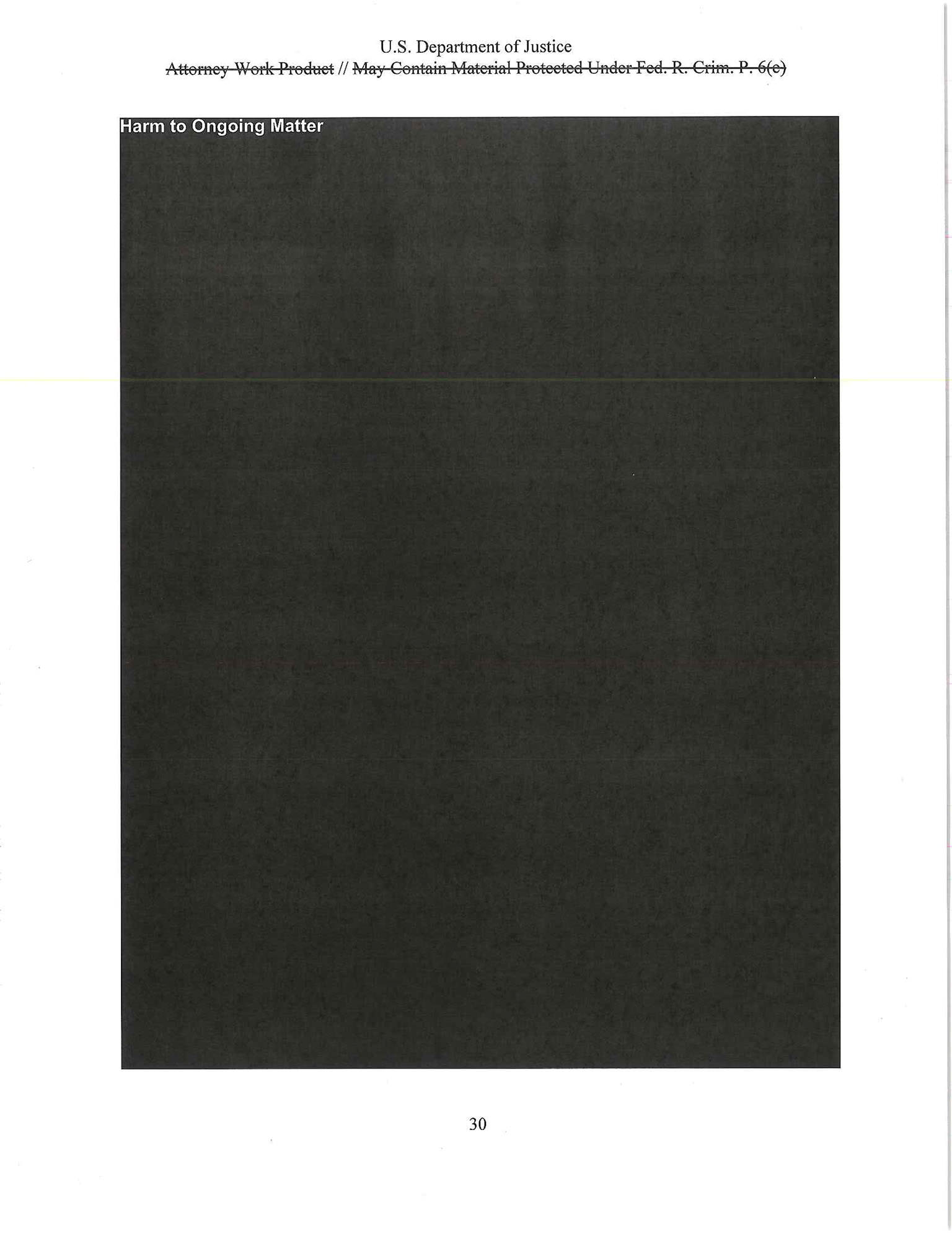 The Mueller Report - photo 31