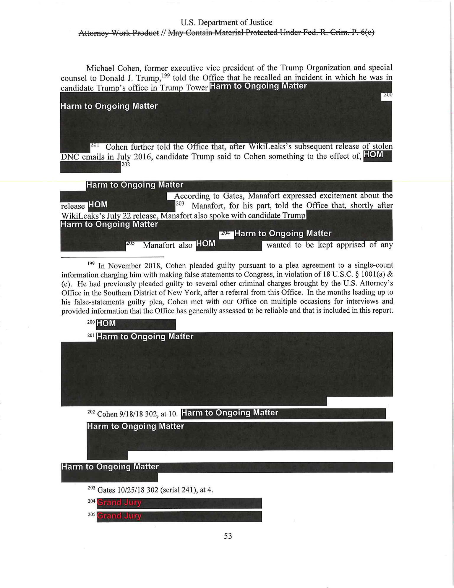 The Mueller Report - photo 54