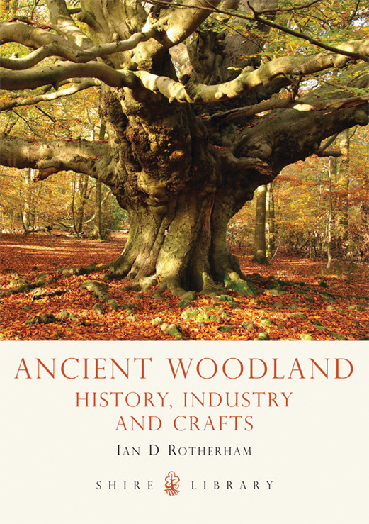 ANCIENT WOODLAND HISTORY INDUSTRY AND CRAFTS Ian D Rotherham Clog-block - photo 1