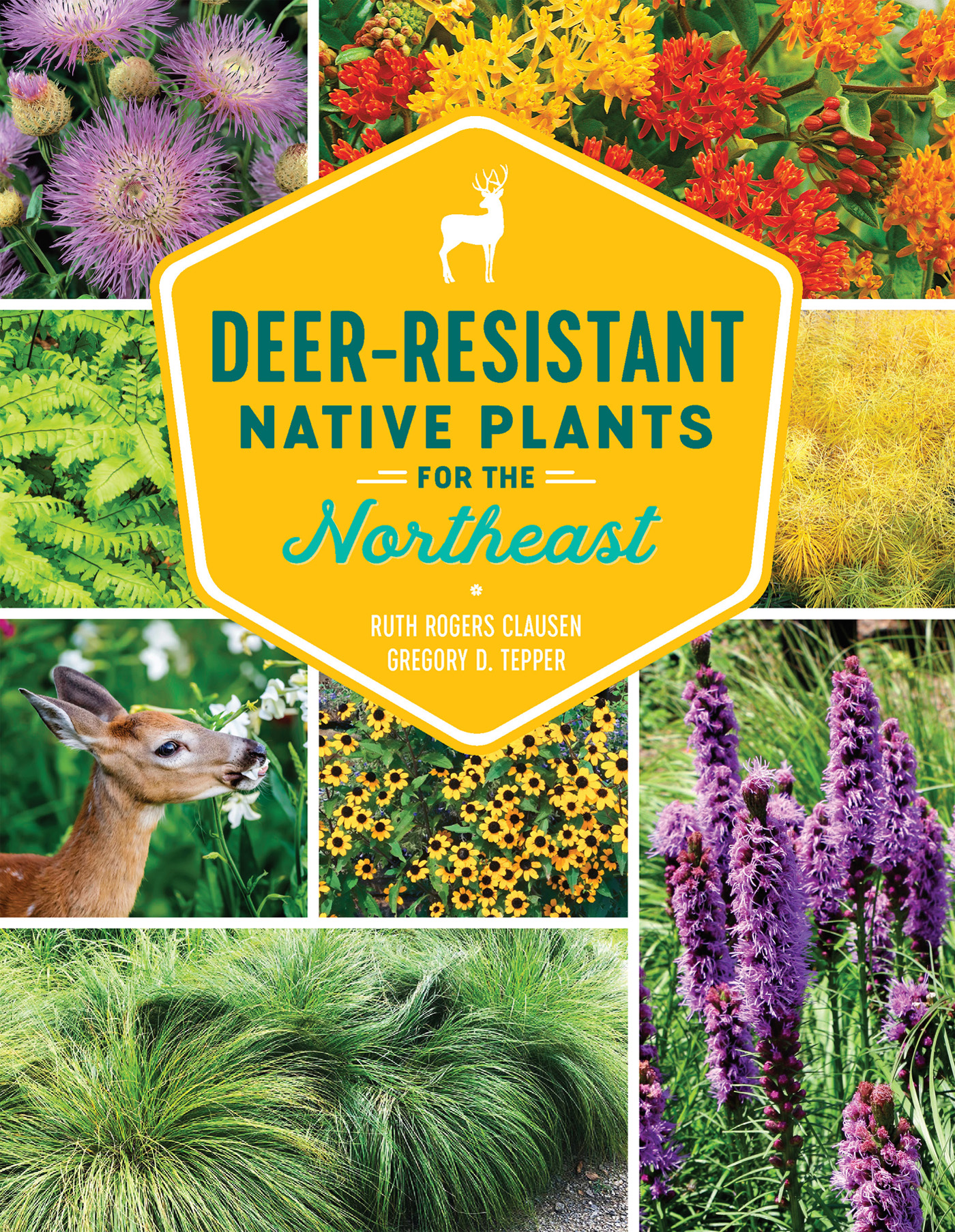 Deer-Resistant Native Plants for the Northeast - image 1