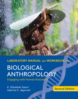 K. Elizabeth Soluri Laboratory Manual and Workbook for Biological Anthropology (Second Edition)