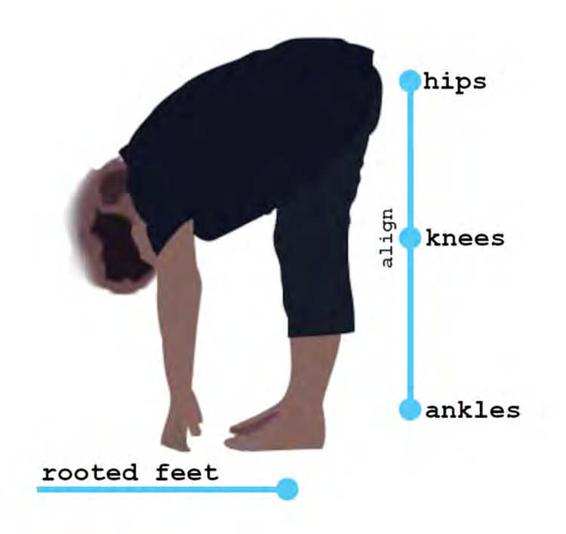 Section 2 Standing Forward Fold Uttanasana Feet can be together or hip - photo 4