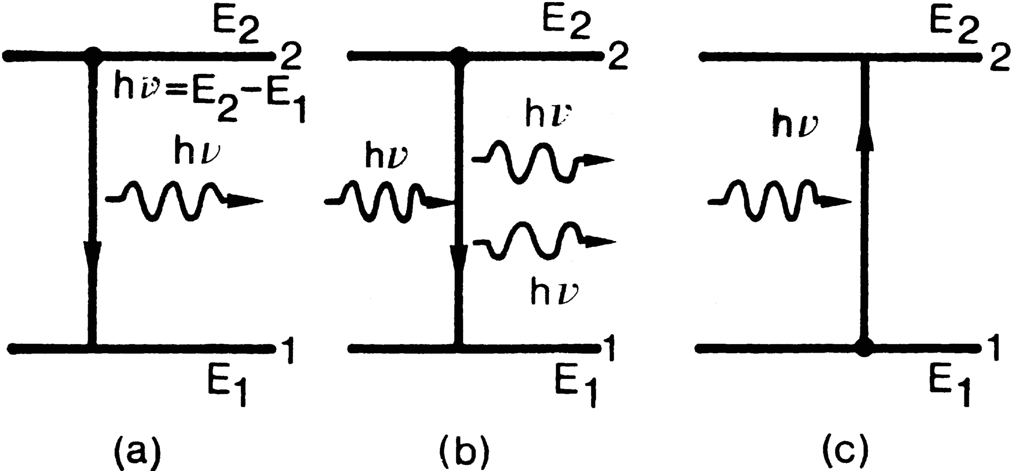 Fig 11 Schematic illustration of the three processes a spontaneous - photo 3