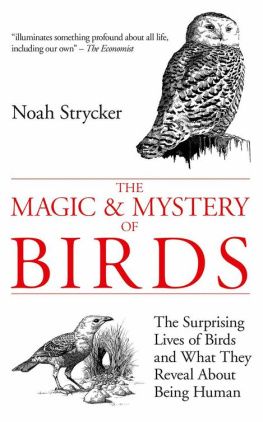 Noah Strycker The Magic and Mystery of Birds