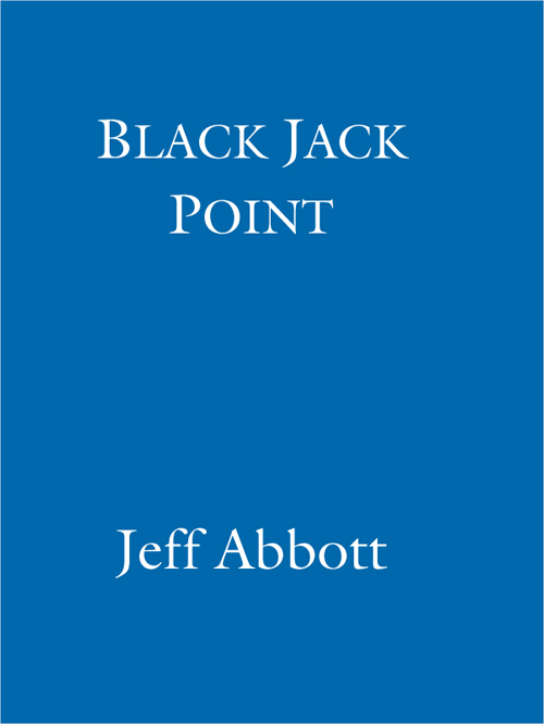 Jeff Abbott is the internationally bestselling author of thirteen novels - photo 1