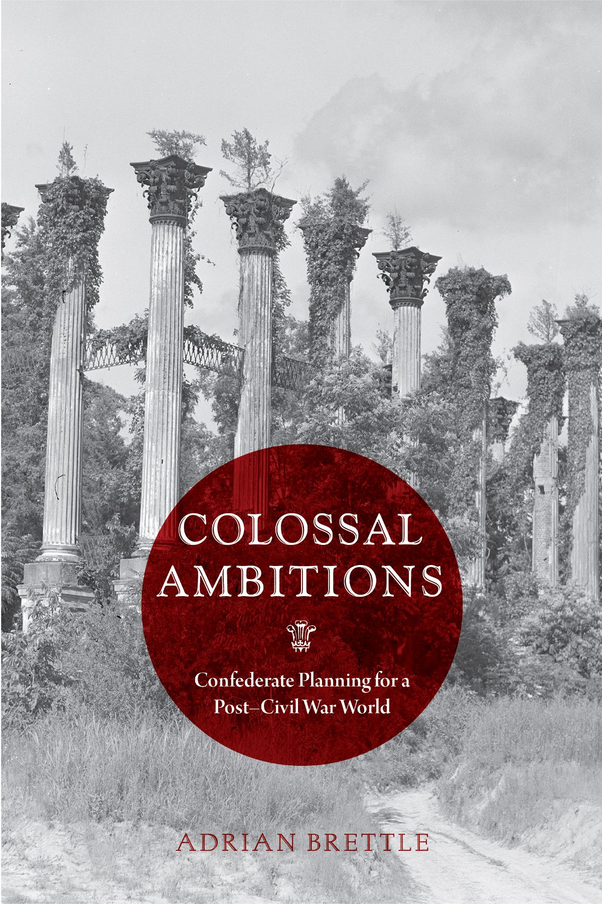 Colossal Ambitions A Nation Divided Studies in The Civil War Era ORVILLE - photo 1