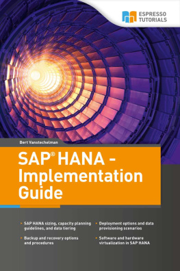 Bert Vanstechelman - SAP HANA - implementation guide