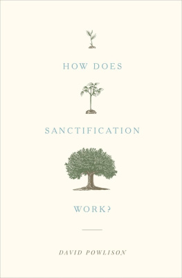 David Powlison How Does Sanctification Work?