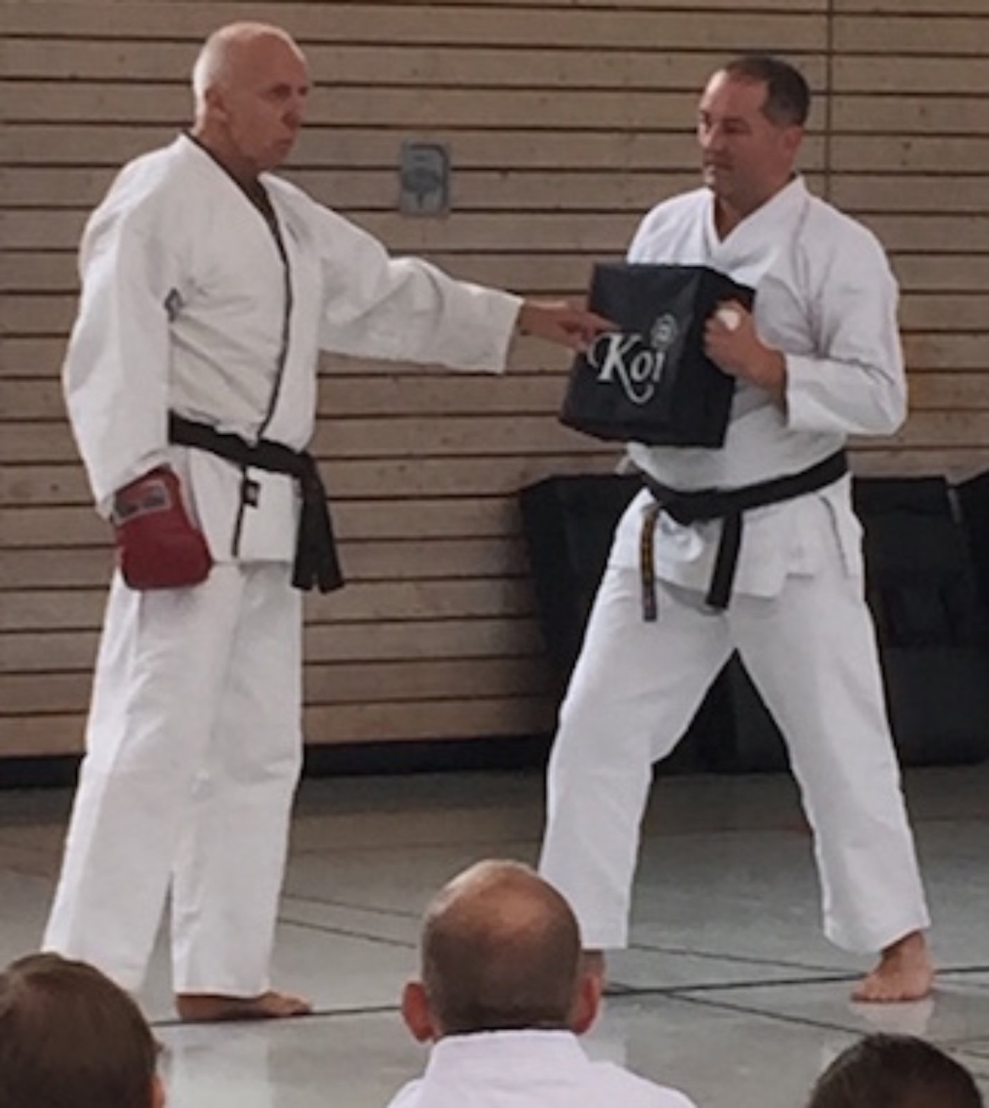 Teaching Karate in Germany for our World Combat Association WCA members In - photo 3