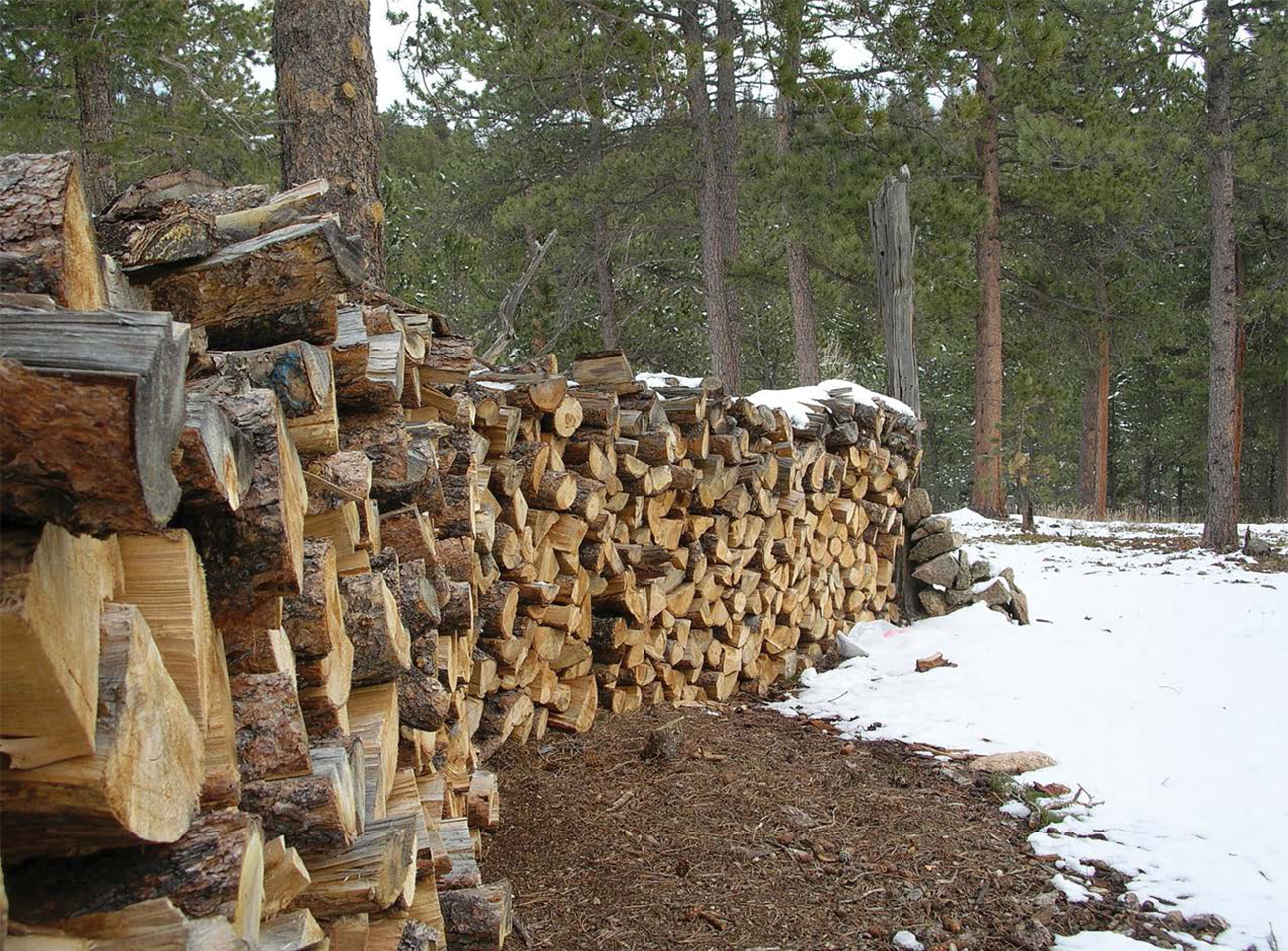 A mans wealth is measured by the size of his wood-pile Old New Mexican proverb - photo 6