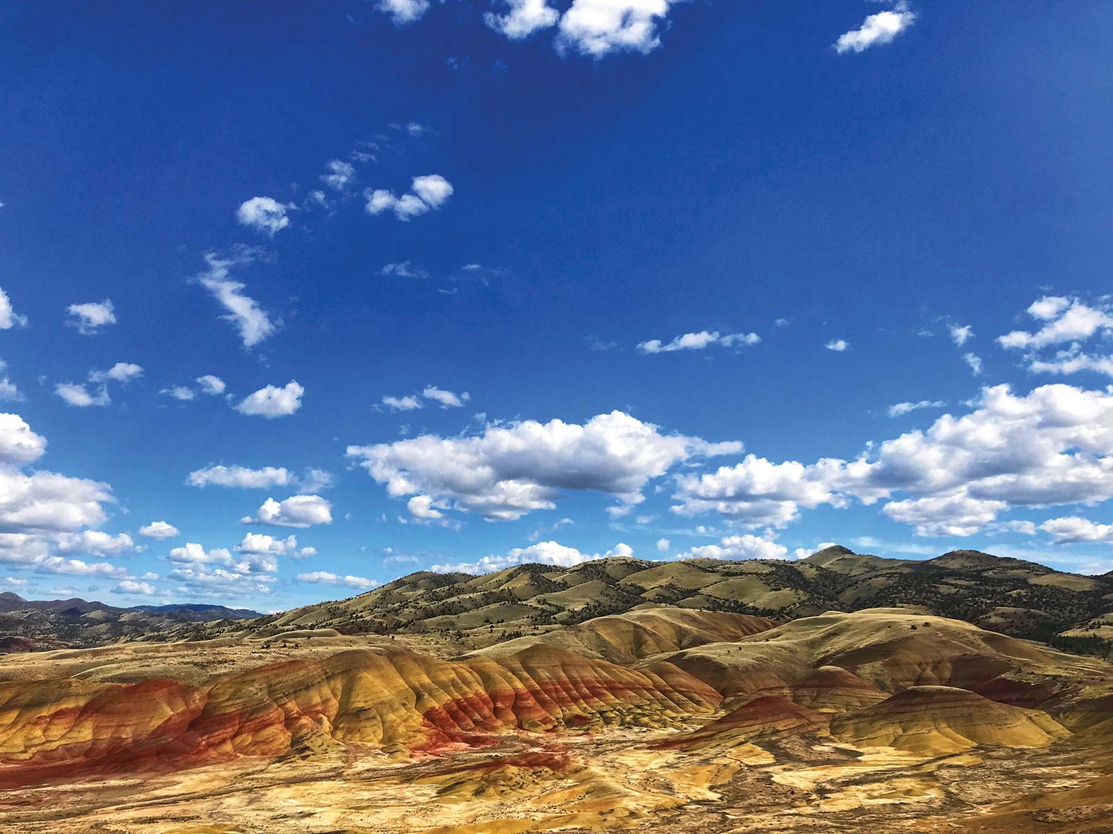 Discover fossils dramatic rock formations and the surreal Painted Hills at - photo 11