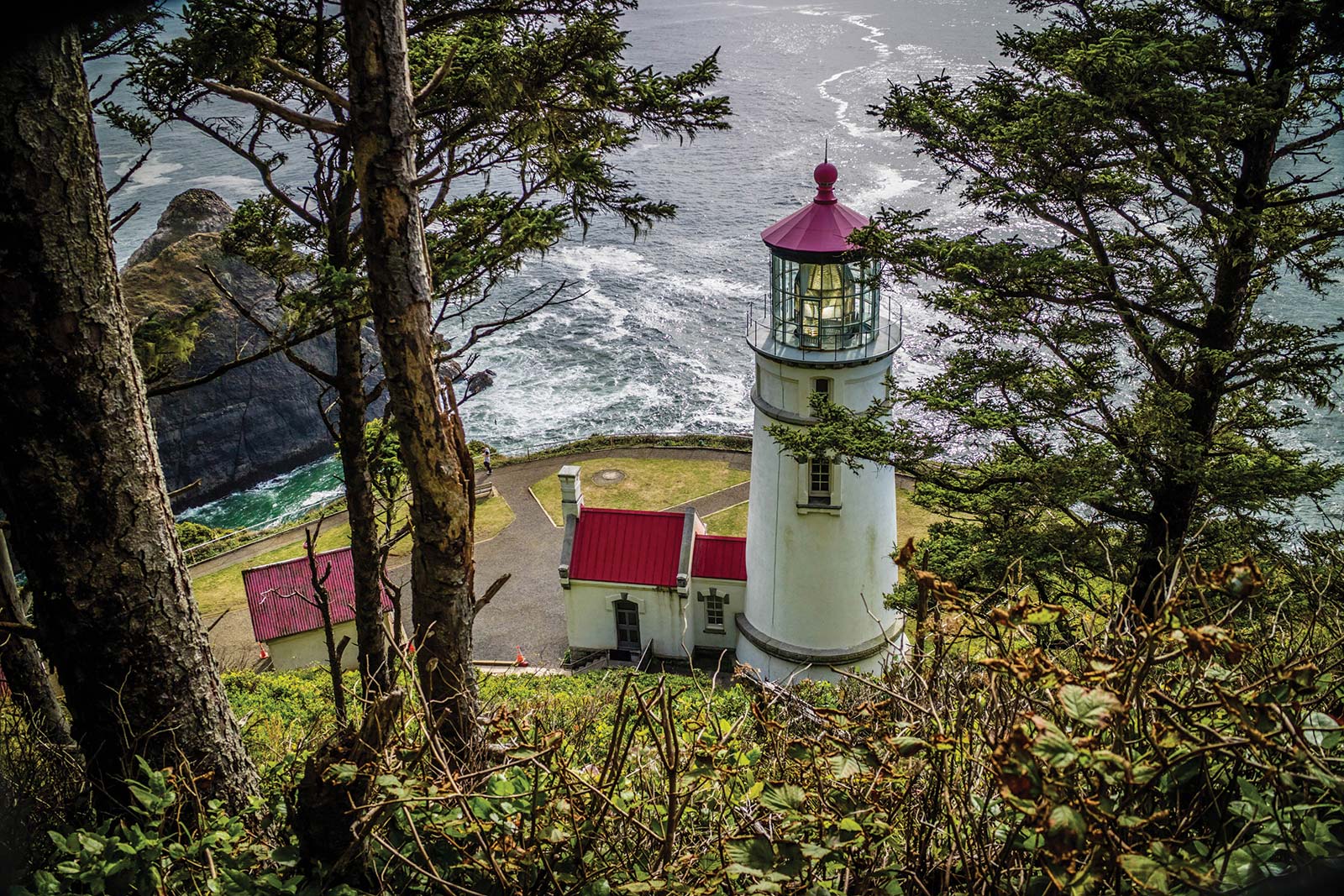 HECETA HEAD LIGHTHOUSE Brookings You dont have to go far to see one of the - photo 17