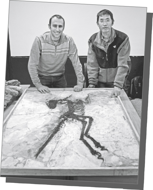 Junchang L and Steve Brusatte studying the fossil of Zhenyuanlong But this was - photo 3