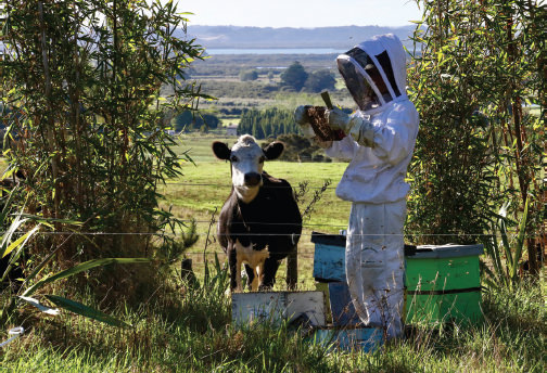 Honey bees are essential to our agricultural and horticultural industries - photo 4