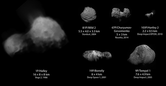 Gallery of comet nuclei visited by space probes to scale with year of - photo 2