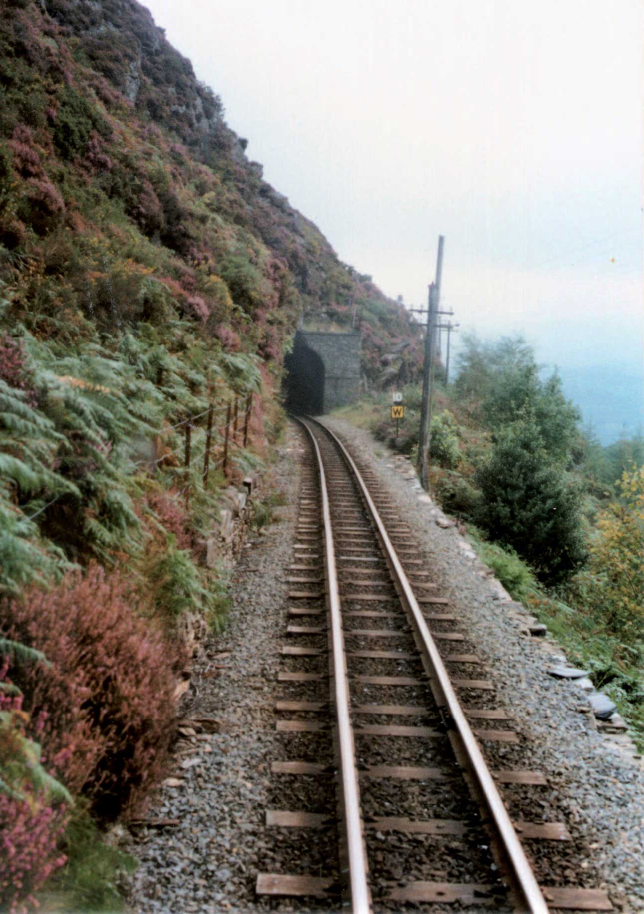 The big advantage of narrow gauge is the ability to run in challenging - photo 5