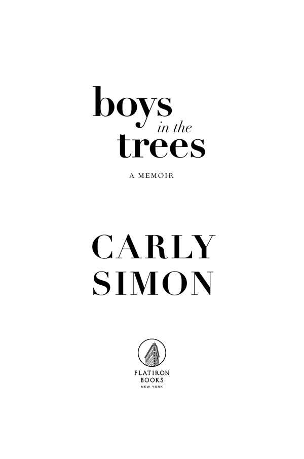 Boys in the Trees A Memoir - image 1