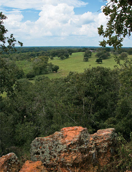 The Red Hill Overlook on Park Road 11 at Palmetto State Park in Gonzales County - photo 7