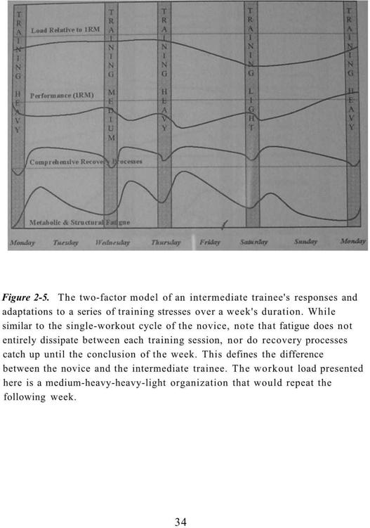 The Complete Strength Training Guide Practical guidelines for strength training - photo 35