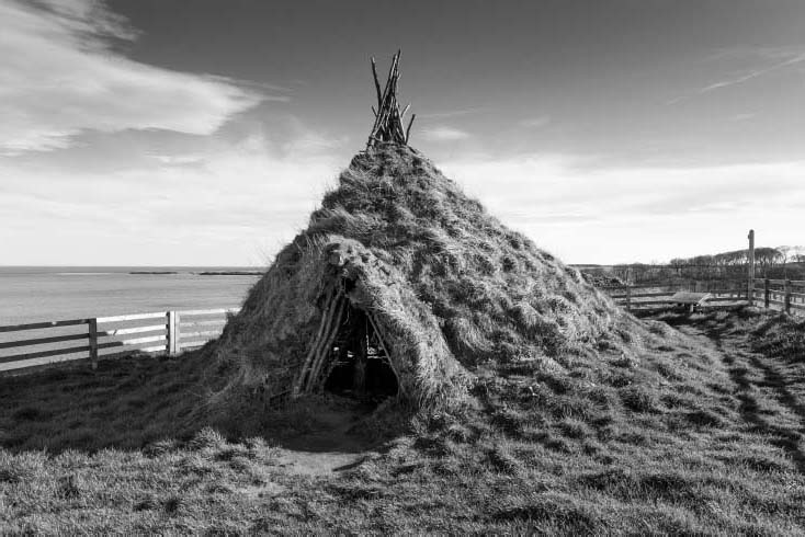 The ability to fell trees enabled Mesolithic people to build roomy round - photo 4