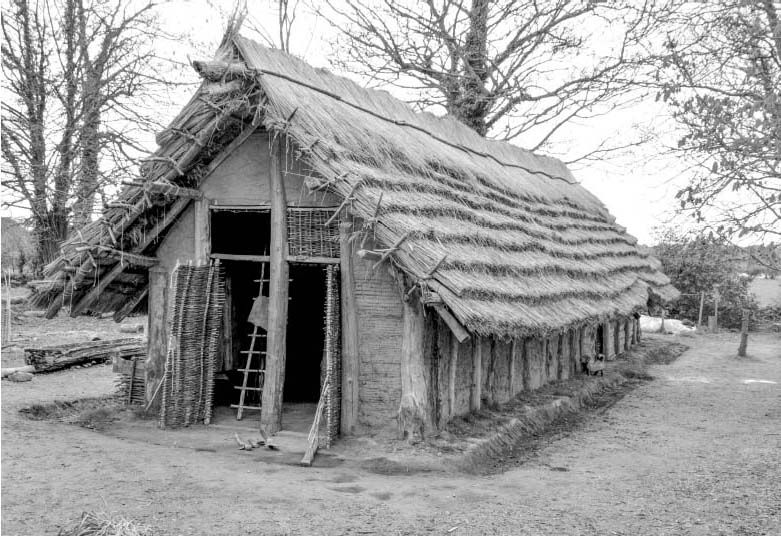 The tool innovations of the Neolithic LBK people allowed them to build long - photo 6